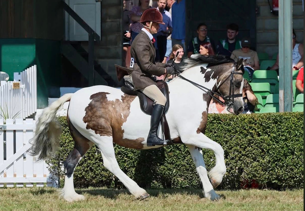Mens Signature Breeches - Beige