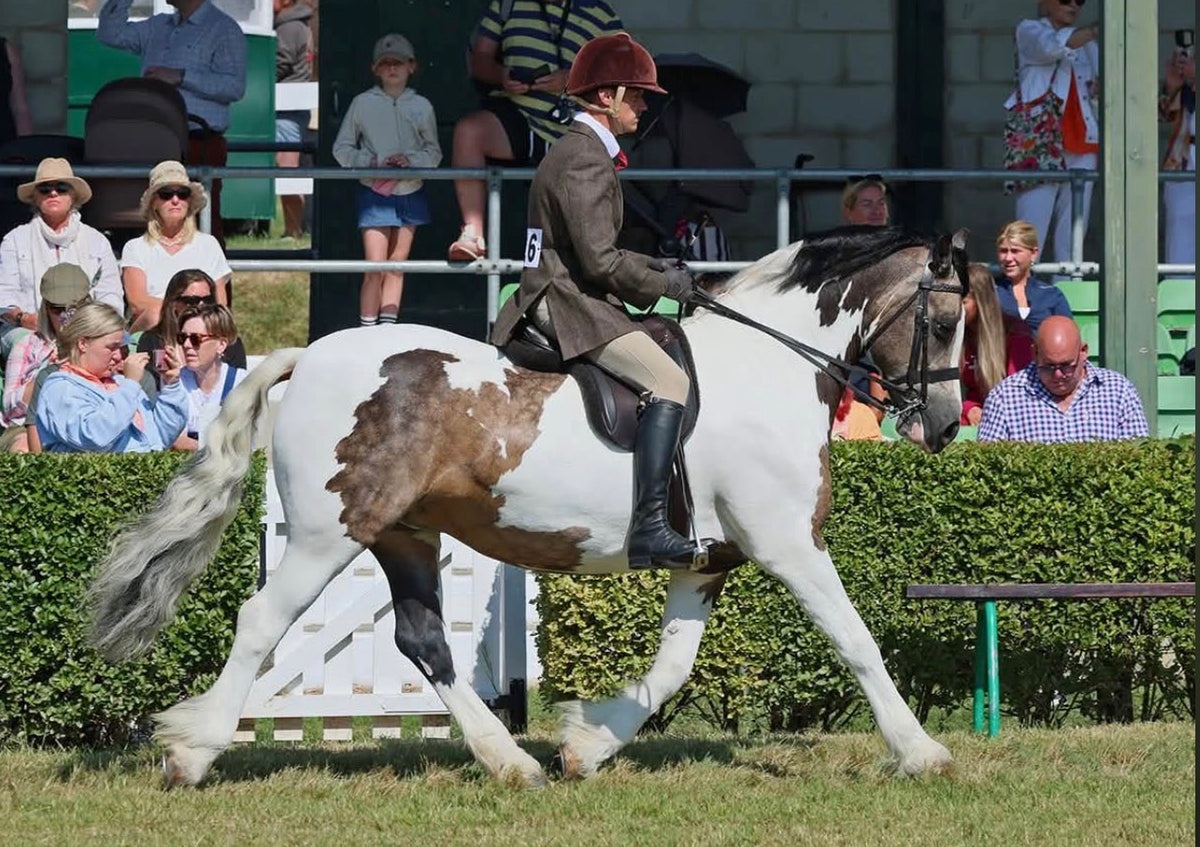 Mens Signature Breeches - Beige